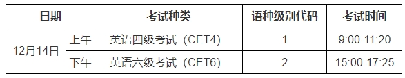 说客英语外教一对一