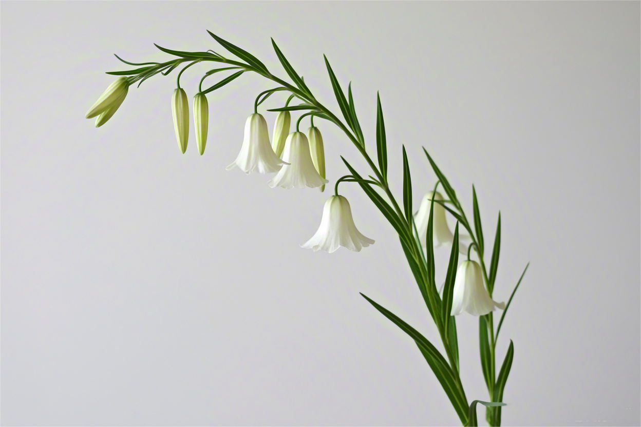 以u开头的英语单词