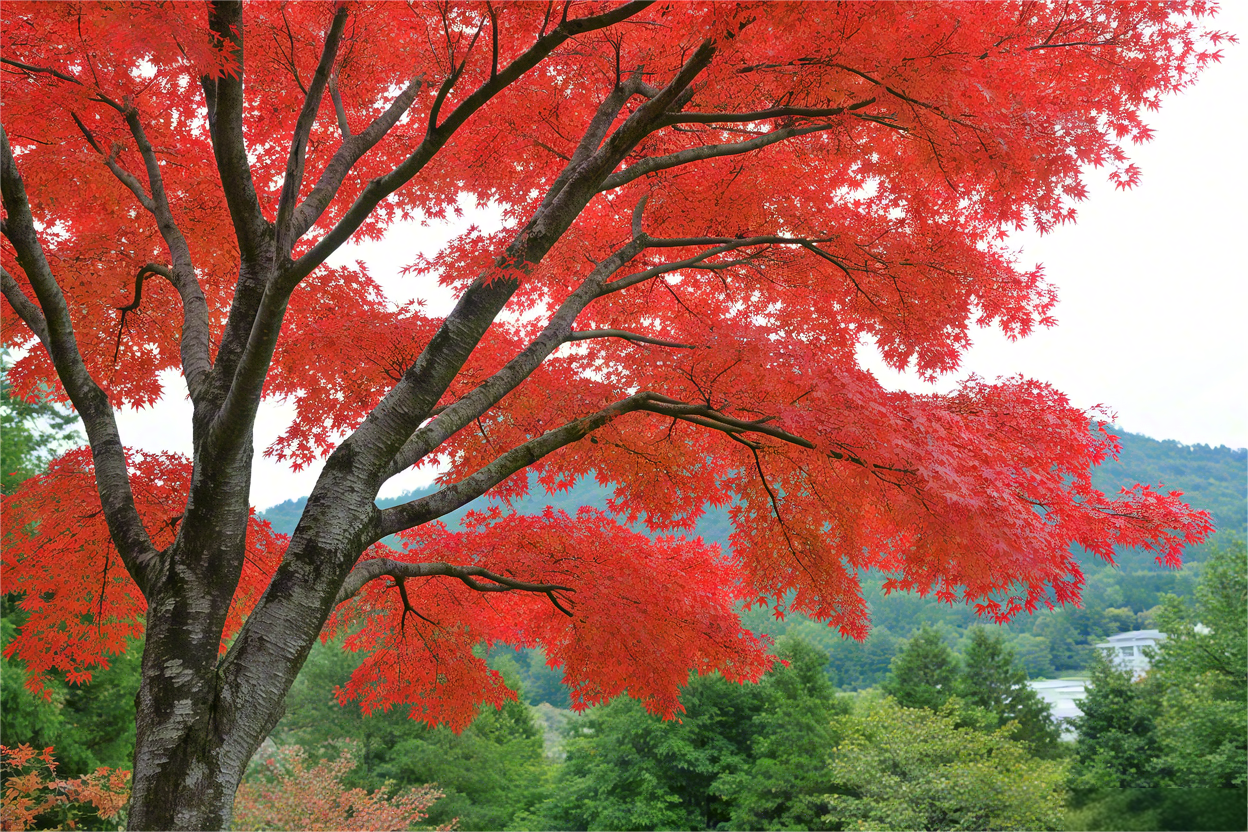 以m开头的英语单词